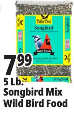 Ocean State Job Lot Better Bird Songbird Better Blends Food 5 lbs offer