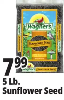 Ocean State Job Lot Wagner's Black Oil Sunflower Seed Wild Bird Food 5 lbs offer