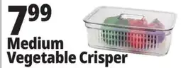 Ocean State Job Lot Medium Vegetable Crisper offer