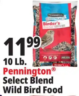 Ocean State Job Lot 10 Lb. Pennington Select Blend Wild Bird Food offer