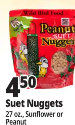 Ocean State Job Lot C&S Peanut Suet Nuggets Wild Bird Food 27 oz offer