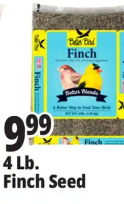 Ocean State Job Lot Better Bird Finch Bird Food 4 lbs offer