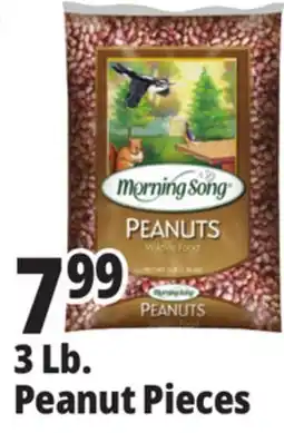 Ocean State Job Lot Morning Song Wildlife Food Peanuts 3 lbs offer