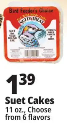 Ocean State Job Lot Bird Feeder's Choice Nutty Treat Suet 11 oz offer