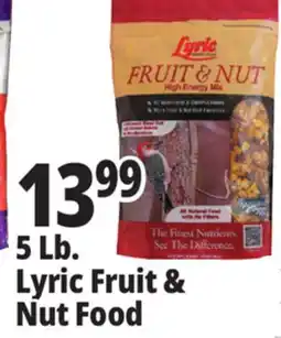 Ocean State Job Lot Lyric Fruit and Nut High Energy Wild Bird Food Mix 5 lbs offer