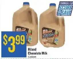 Homeland Market Hiland Chocolate Milk offer