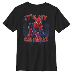 Walmart Boy's Marvel It's My Spider-Birthday Graphic Tee Black Medium offer