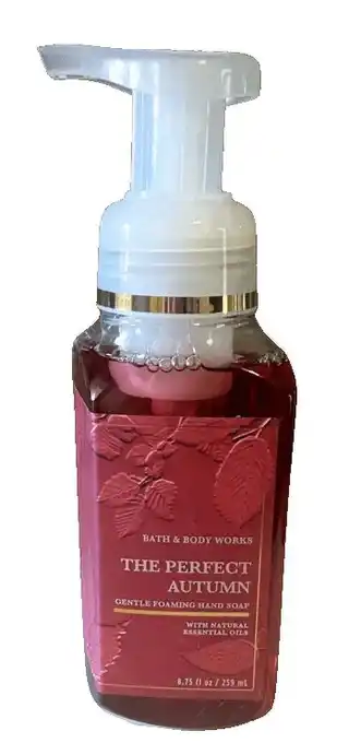 Walmart Bath & Body Works The Perfect Autumn Gentle Foaming Hand Soap offer