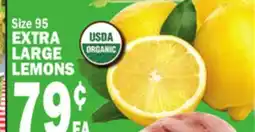 Bravo Supermarkets EXTRA LARGE LEMONS offer