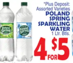 Bravo Supermarkets POLAND SPRING SPARKLING WATER offer