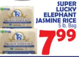 Bravo Supermarkets SUPER LUCKY ELEPHANT JASMINE RICE offer