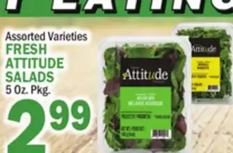 Bravo Supermarkets FRESH ATTITUDE SALADS offer