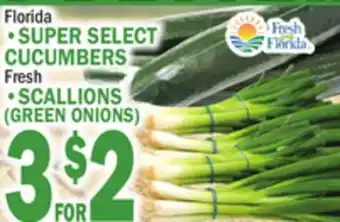 Bravo Supermarkets • SUPER SELECT CUCUMBERS Fresh • SCALLIONS (GREEN ONIONS) offer