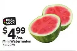 Stop&Shop Mini Watermelon offer