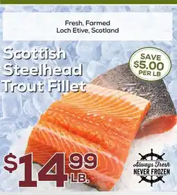 DeCicco & Sons Scottish Steelhead Trout Fillet offer