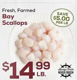 DeCicco & Sons Bay Scallops offer