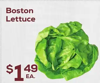 DeCicco & Sons Boston Lettuce offer