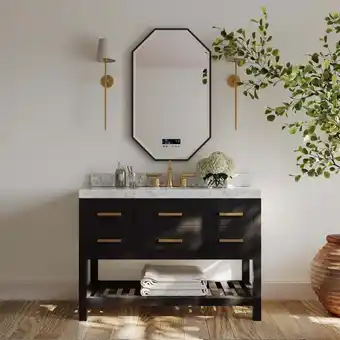 Walmart Ancerre Designs Elizabeth 48 Wood Bathroom Vanity Set in Black Onyx offer