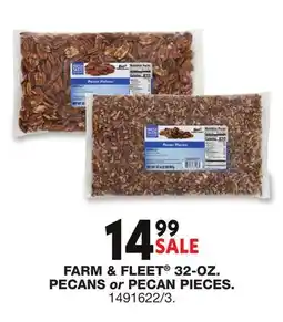 Blain's Farm & Fleet FARM & FLEET 32-OZ. PECANS OR PECAN PIECES offer