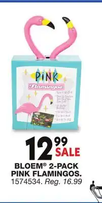 Blain's Farm & Fleet BLOEM 2-PACK PINK FLAMINGOS offer