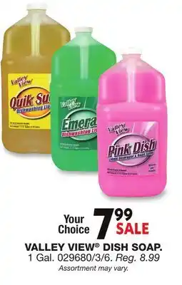 Blain's Farm & Fleet VALLEY VIEW DISH SOAP offer