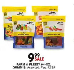 Blain's Farm & Fleet FARM & FLEET 64-OZ GUMMIS offer