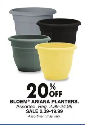 Blain's Farm & Fleet BLOEM ARIANA PLANTERS offer