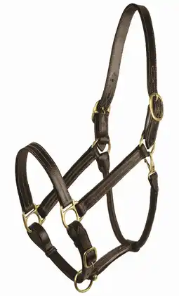 Walmart Gatsby Premium Adjustable Triple Stitched Halter Havana Oversize offer