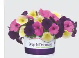 The Home Depot Wave Drop-N-Decorate offer