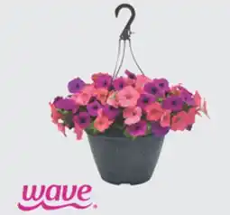 The Home Depot 11 Select Petunia Hanging Basket offer