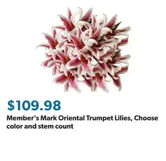 Sam's Club Member's Mark Oriental Trumpet Lilies, Choose color and stem count offer