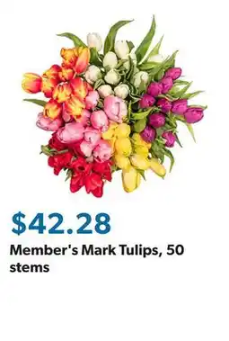 Sam's Club Member's Mark Tulips, 50 stems offer