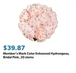 Sam's Club Member's Mark Color Enhanced Hydrangeas, Bridal Pink, 20 stems offer