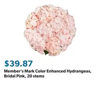 Sam's Club Member's Mark Color Enhanced Hydrangeas, Bridal Pink, 20 stems offer