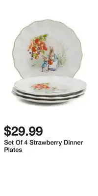 TJ Maxx Set Of 4 Strawberry Dinner Plates offer