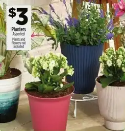 Dollar General Planters Assorted offer