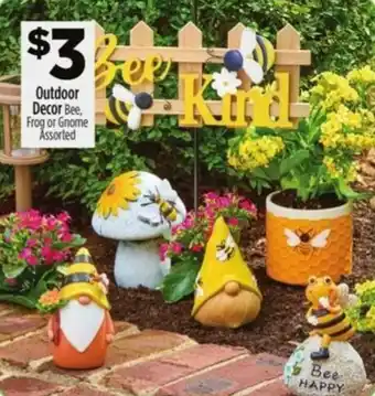 Dollar General Outdoor Decor Bee, Frog or Gnome Assorted offer