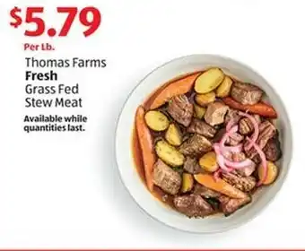 Aldi Thomas Farms Fresh Grass Fed Stew Meat offer