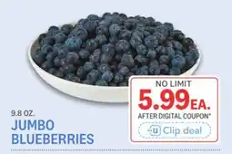 Kings Food Markets JUMBO BLUEBERRIES offer