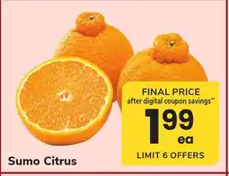 ACME Sumo Citrus offer