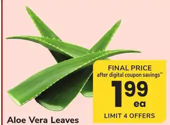 ACME Aloe Vera Leaves offer