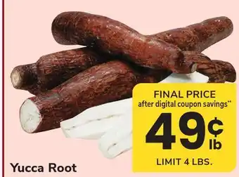 ACME Yucca Root offer