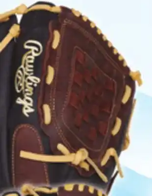 Big 5 Rawlings Renegade Series 12.5 Baseball Glove offer