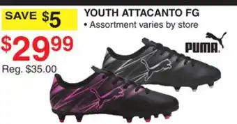 Dunham's Sports PUMA YOUTH ATTACANTO FG offer