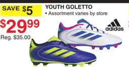 Dunham's Sports ADIDAS YOUTH GOLETTO offer