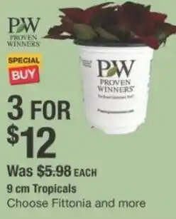 The Home Depot PROVEN WINNERS 9 cm Tropicals offer