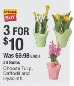 The Home Depot 4 Bulbs Choose Tulip, Daffodil and Hyacinth offer