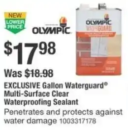 The Home Depot Gallon Waterguard Multi-Surface Clear Waterproofing Sealant offer