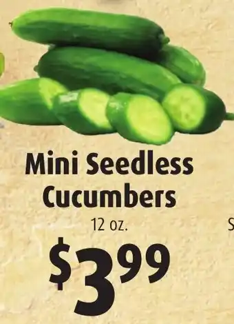 Gristedes Mini Seedless Cucumbers offer