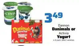 County Market Dannon Danimals or Activial Yogurt offer